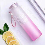 Pink Frosted Glass Water Bottle | Leak-Proof Insulated Bottle with Hello Master Decal Logo | 400ml